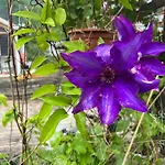 度假居 #beautiful Outdoor Area And Cozy Small Cottage# 福特兰斯沃格