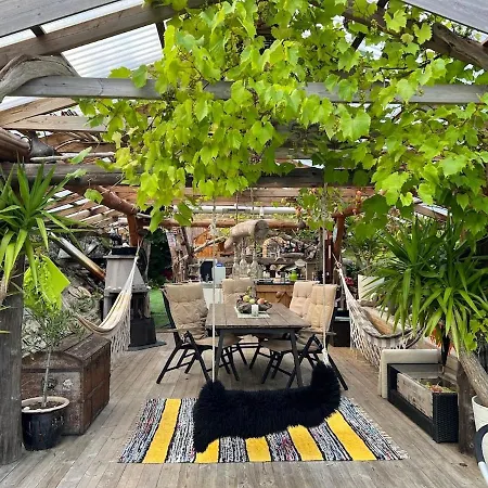 #beautiful Outdoor Area And Cozy Small Cottage# * Fotlandsvag