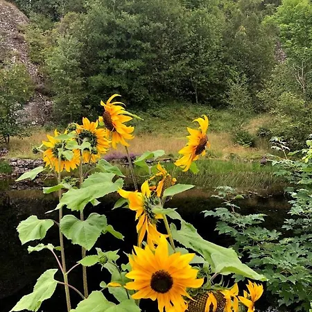 Hébergement de vacances #beautiful Outdoor Area And Cozy Small Cottage# Fotlandsvåg