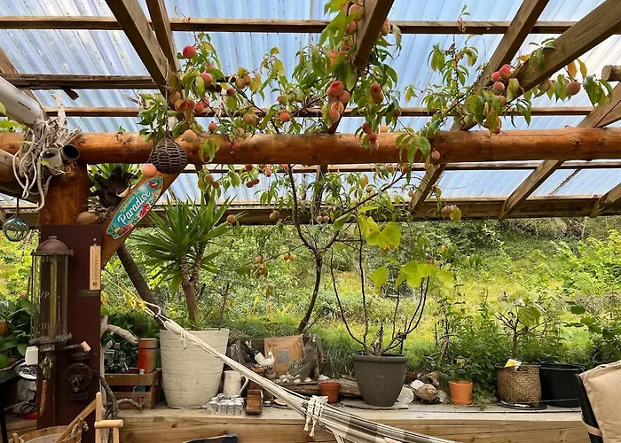 #beautiful Outdoor Area And Cozy Small Cottage# *