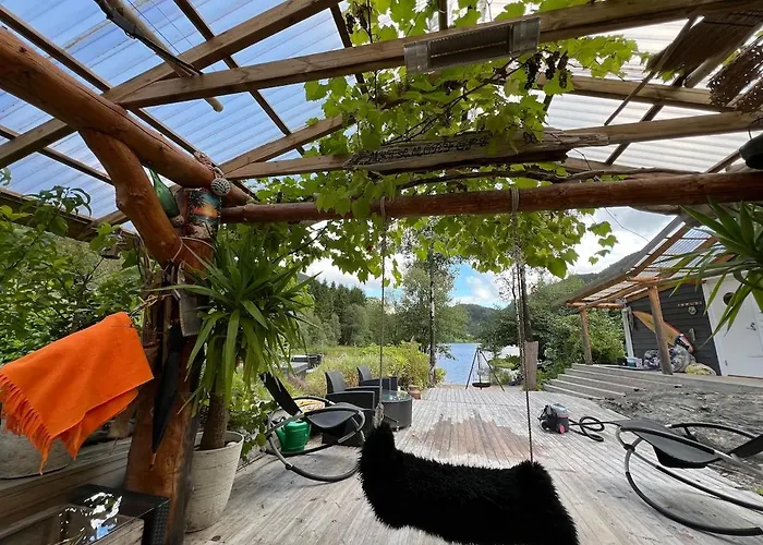 #beautiful Outdoor Area And Cozy Small Cottage# Fotlandsvåg